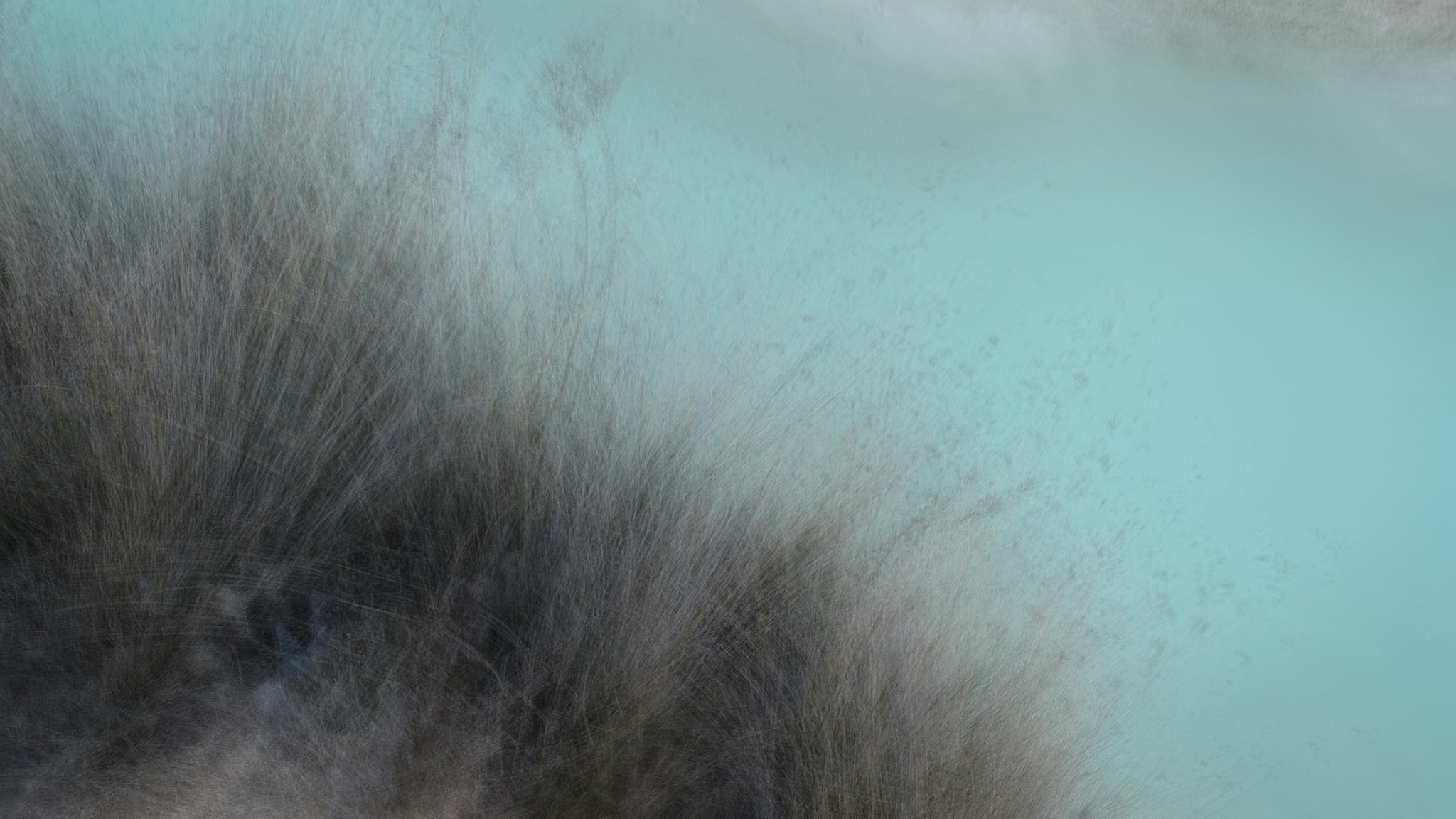 Una distesa di erba alta e secca ondeggia sulla riva di un lago dalle acque turchesi, creando un contrasto di colori naturali e suggestivi.