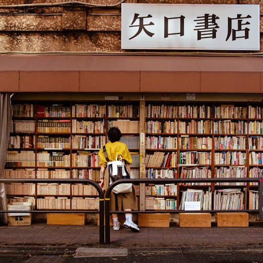 Miniatura della fotografia precedente