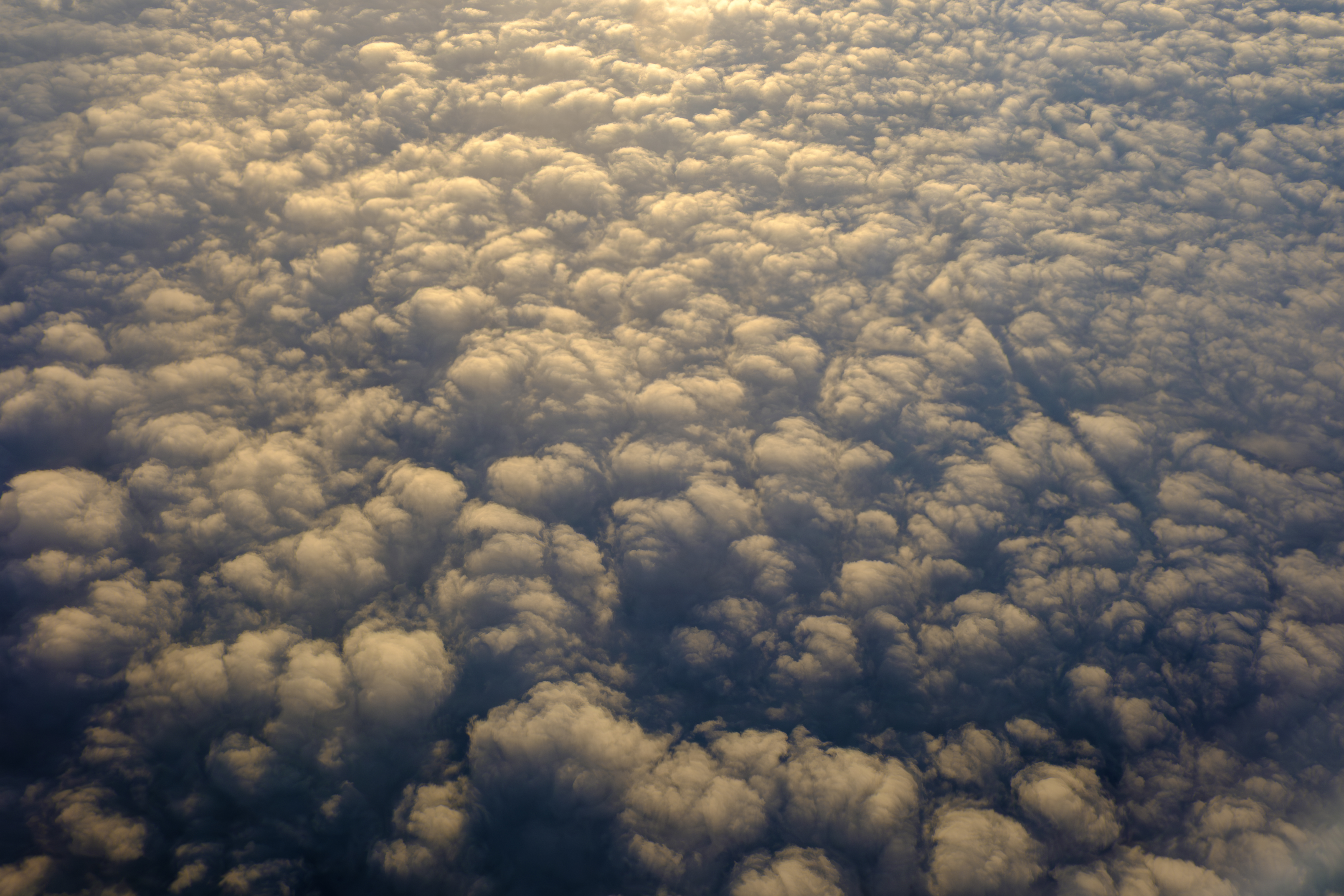 Nuvole soffici e increspate viste dall'alto, immerse in una luce dorata e diffusa, creano un paesaggio etereo nel cielo.