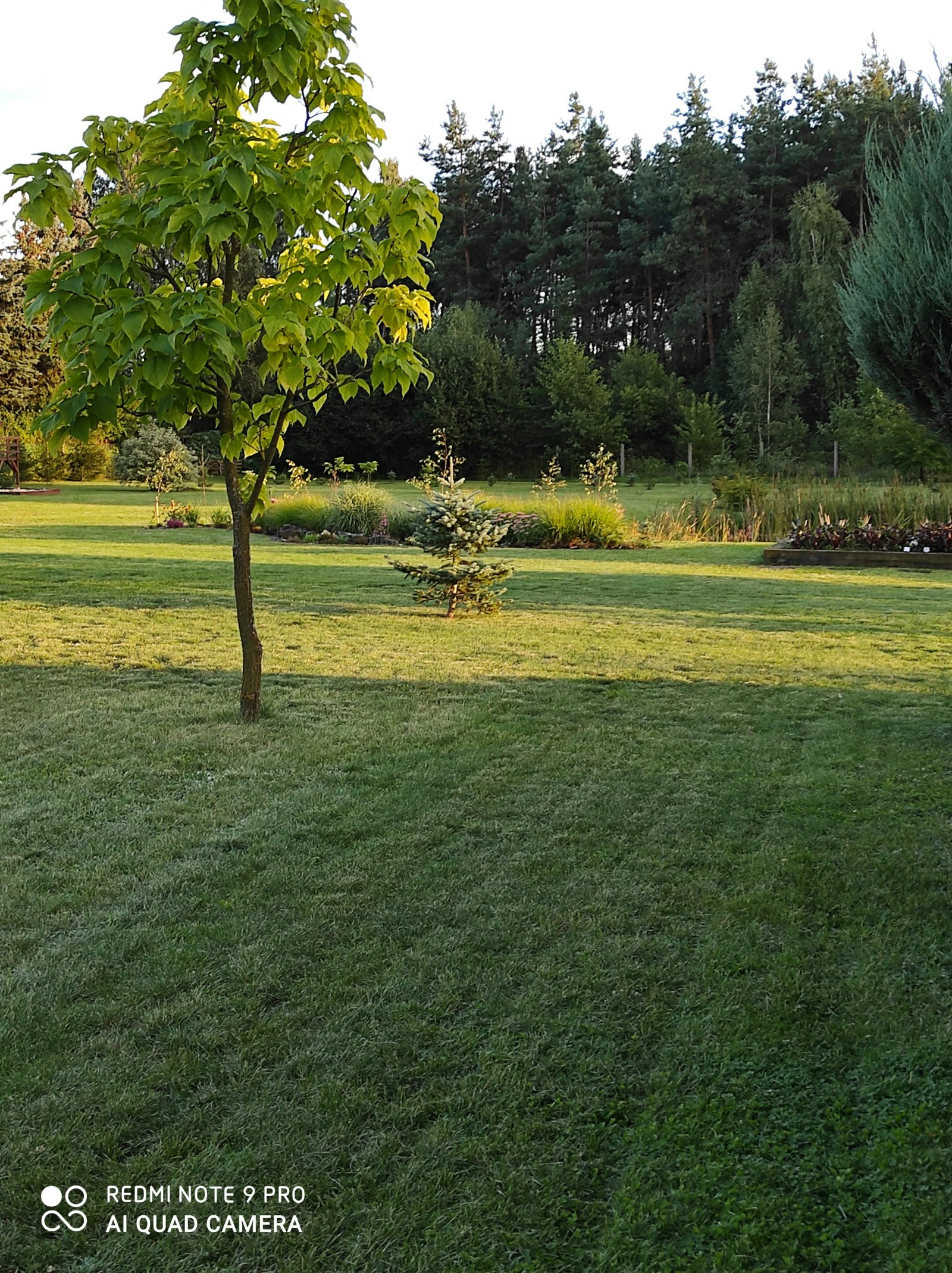 Przystanek na Leśnej