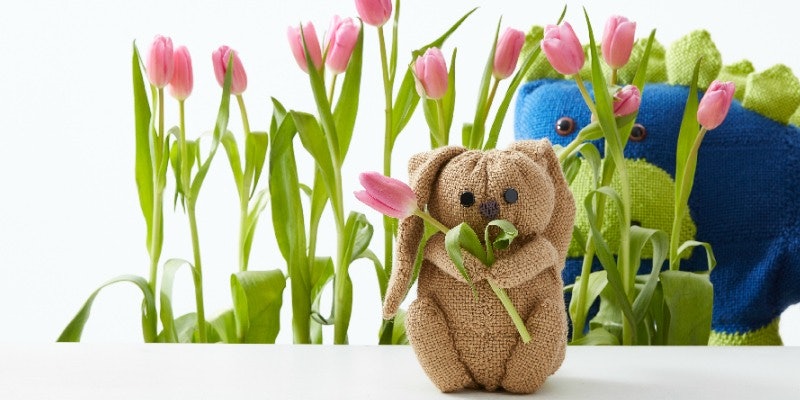 BunnyDinoTulip