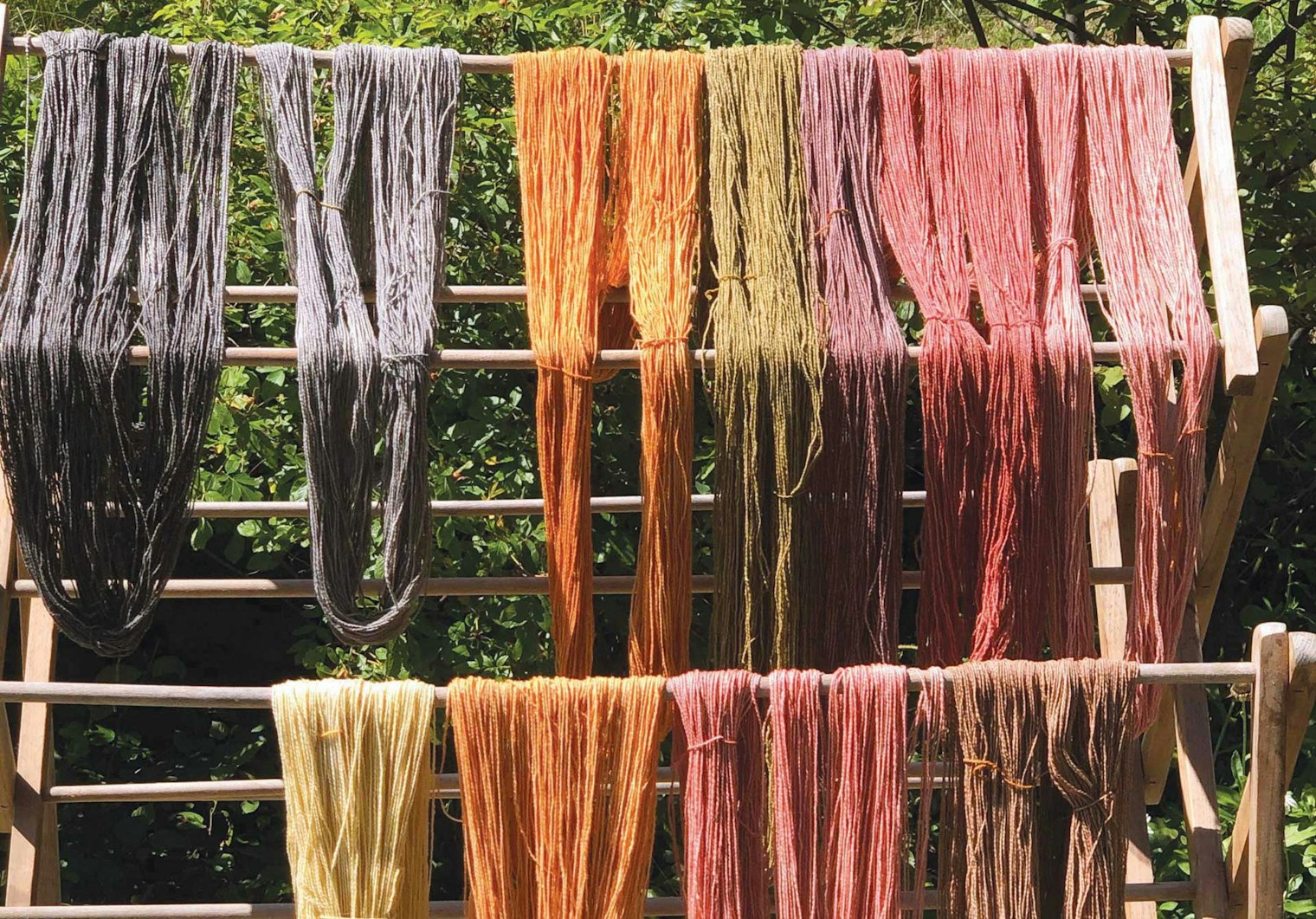 always-say-dye-1