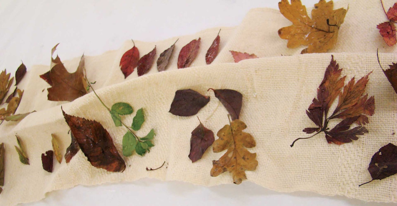 memories-of-autumn-3