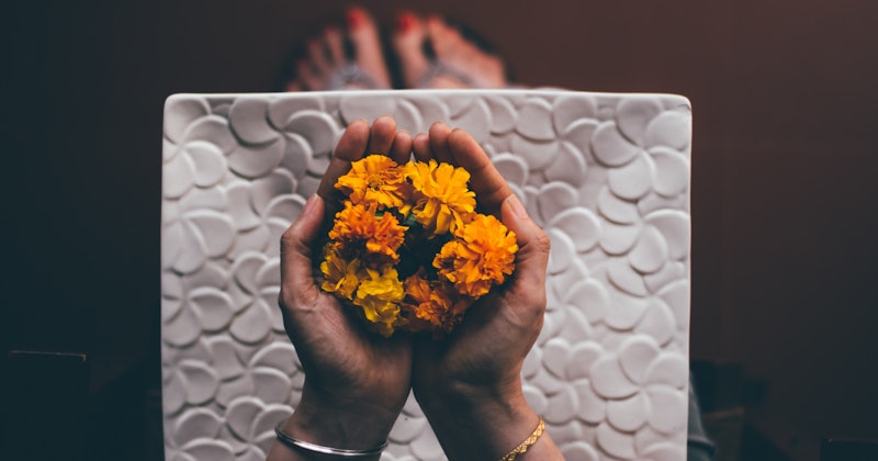 Dye_Garden_Header