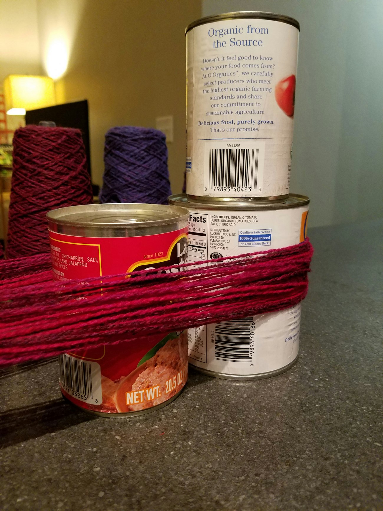 warp-on-tomato-can