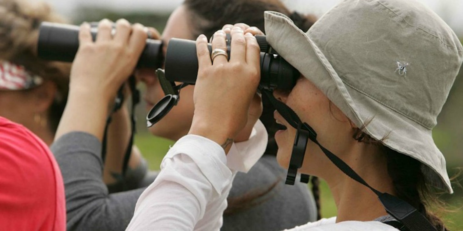 Binoculars. Photo by Steve Hillebrand.