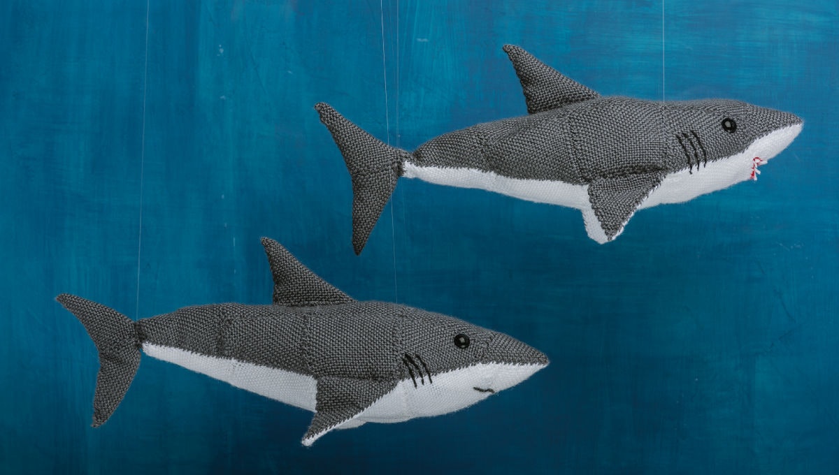 Baby_Shark_Header