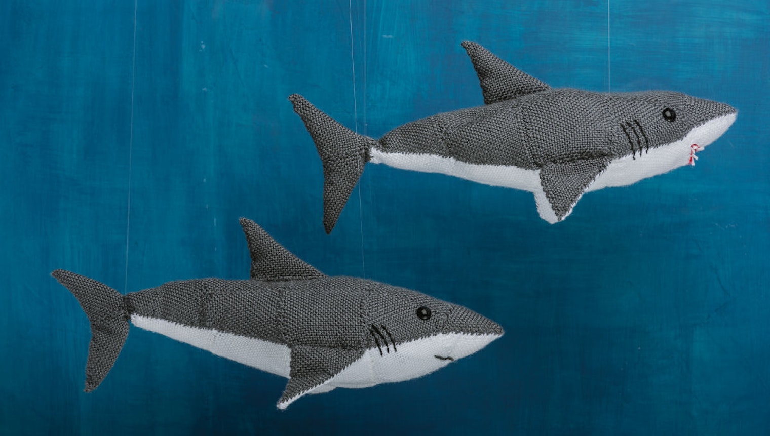 Baby_Shark_Header