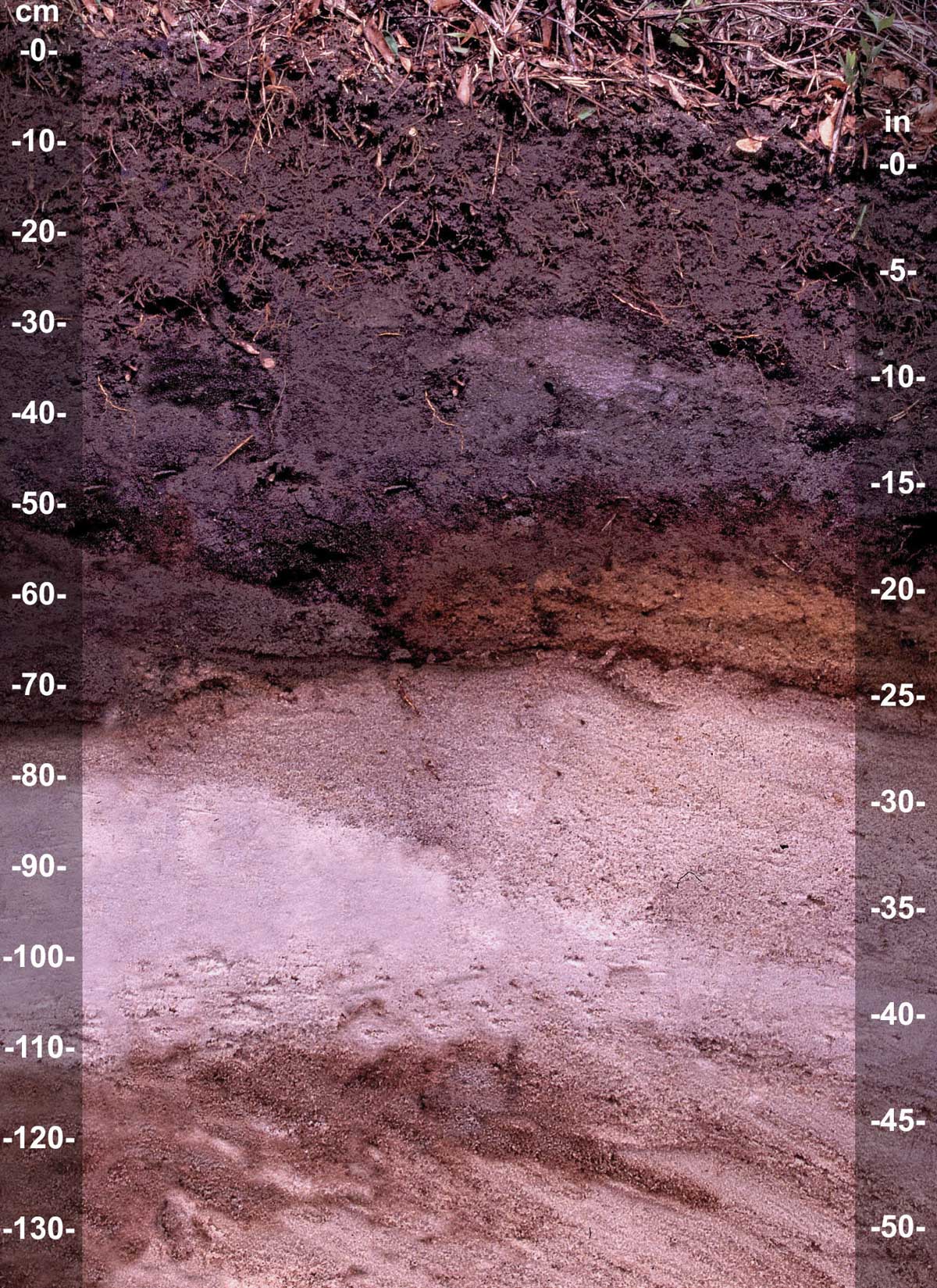 Beauty in Soil | Little Looms