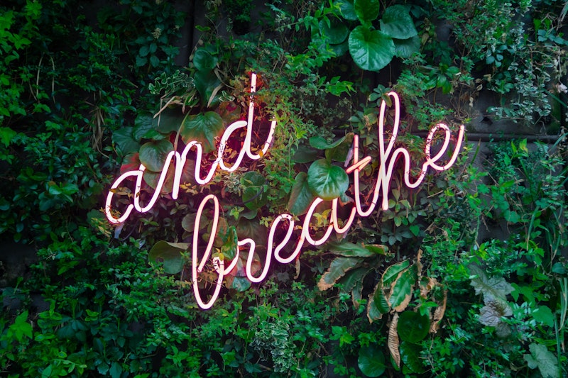 Deep Breath by Max van den Oetelaar from Unsplash