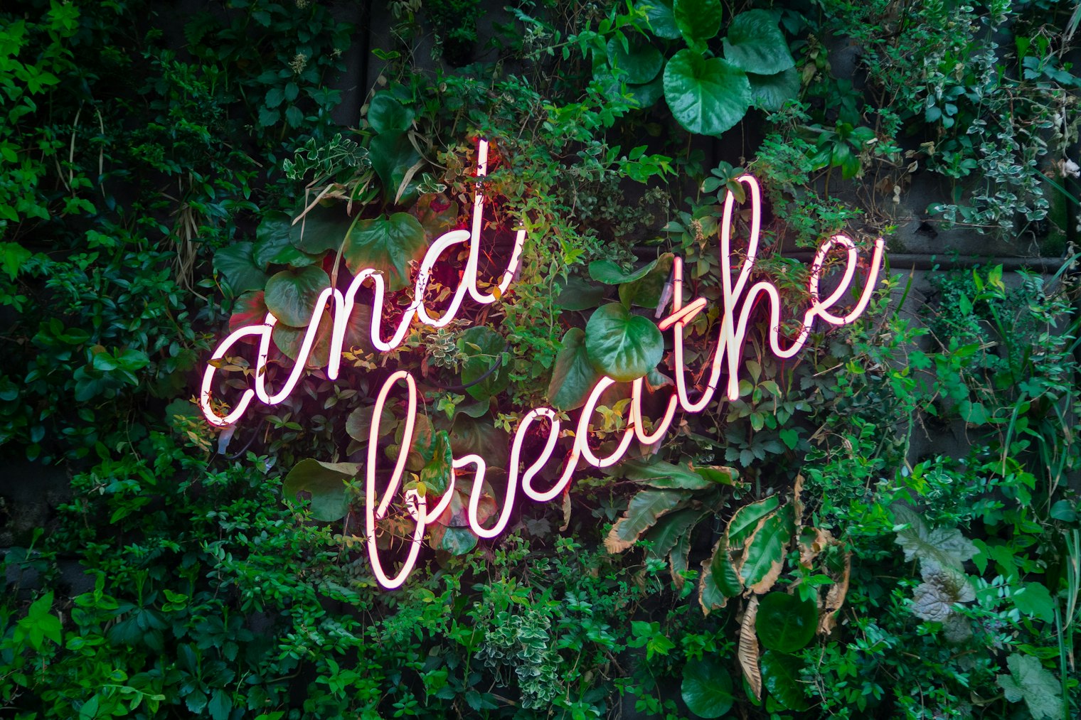 Deep Breath by Max van den Oetelaar from Unsplash
