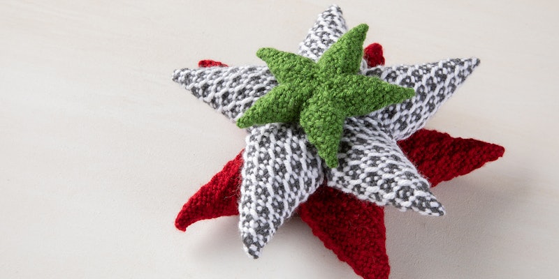 stars ll20 holiday graves