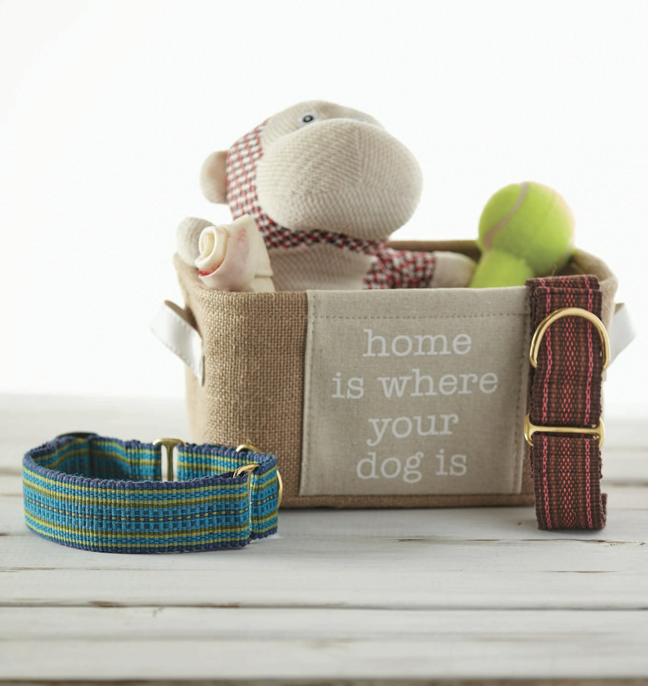 The Well-Dressed Pup Collar by Elisabeth Hill. Photo by George Boe