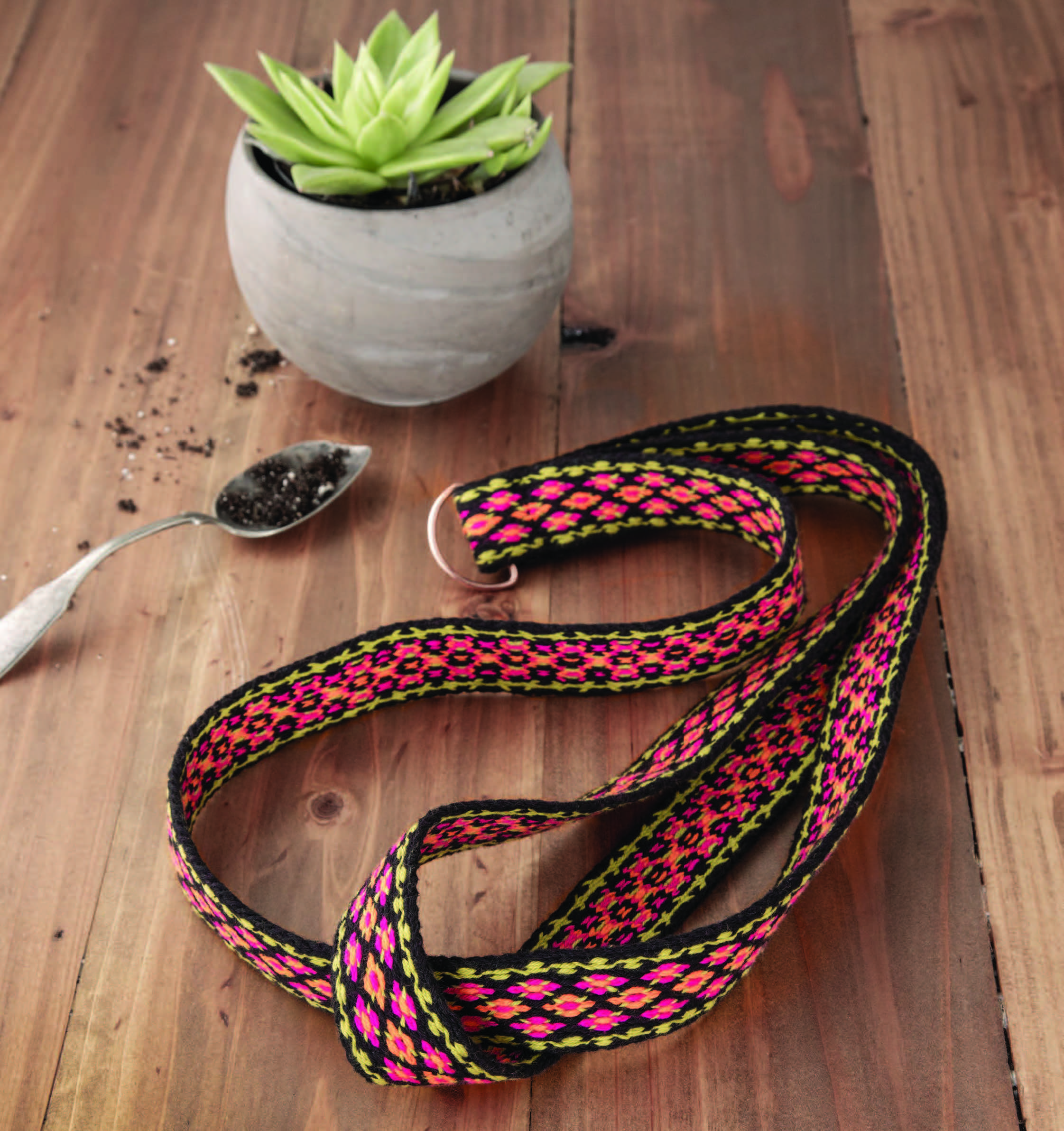 Plumeria Plant Hanger Image