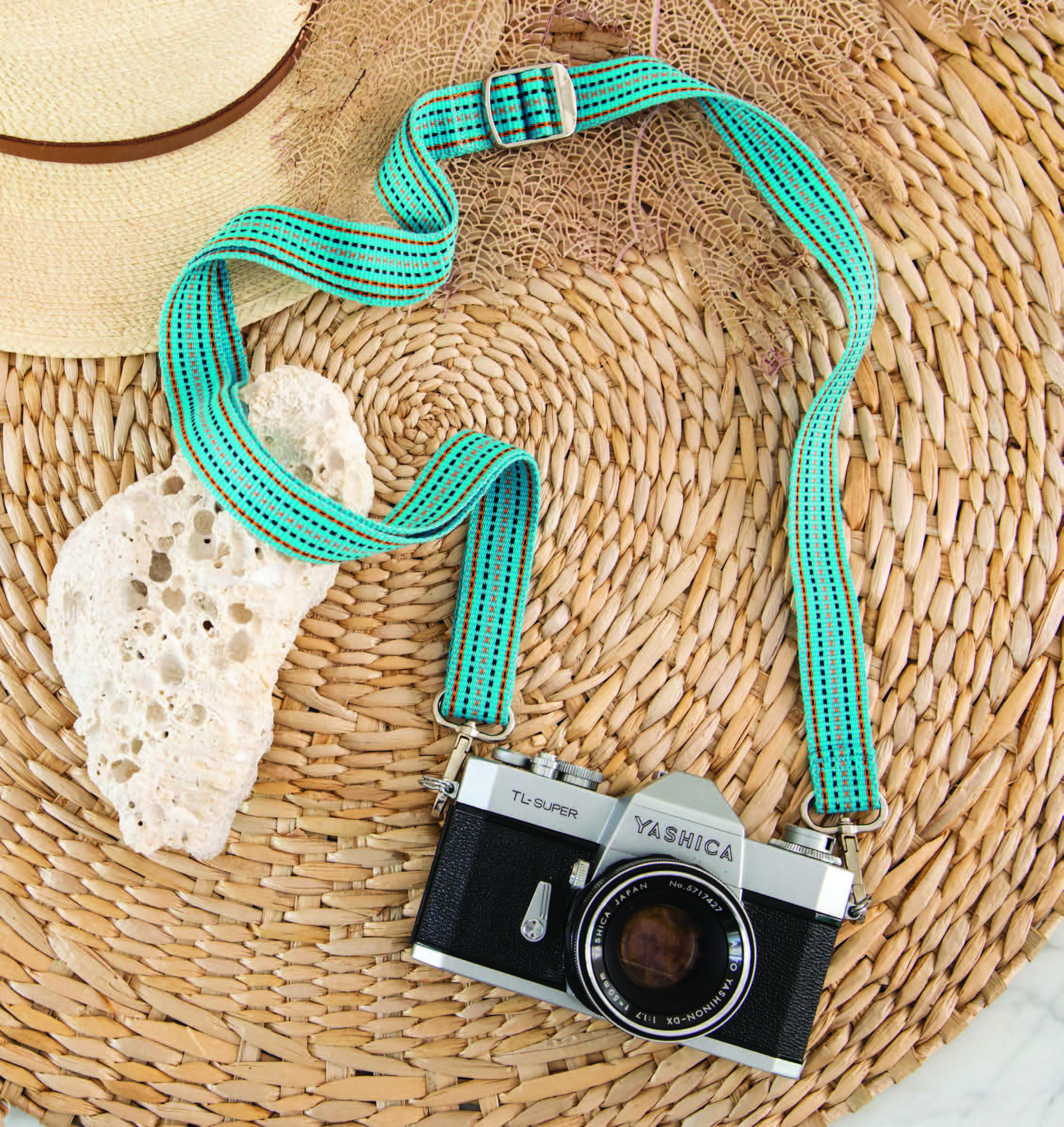 Fiddler on the Beach Image