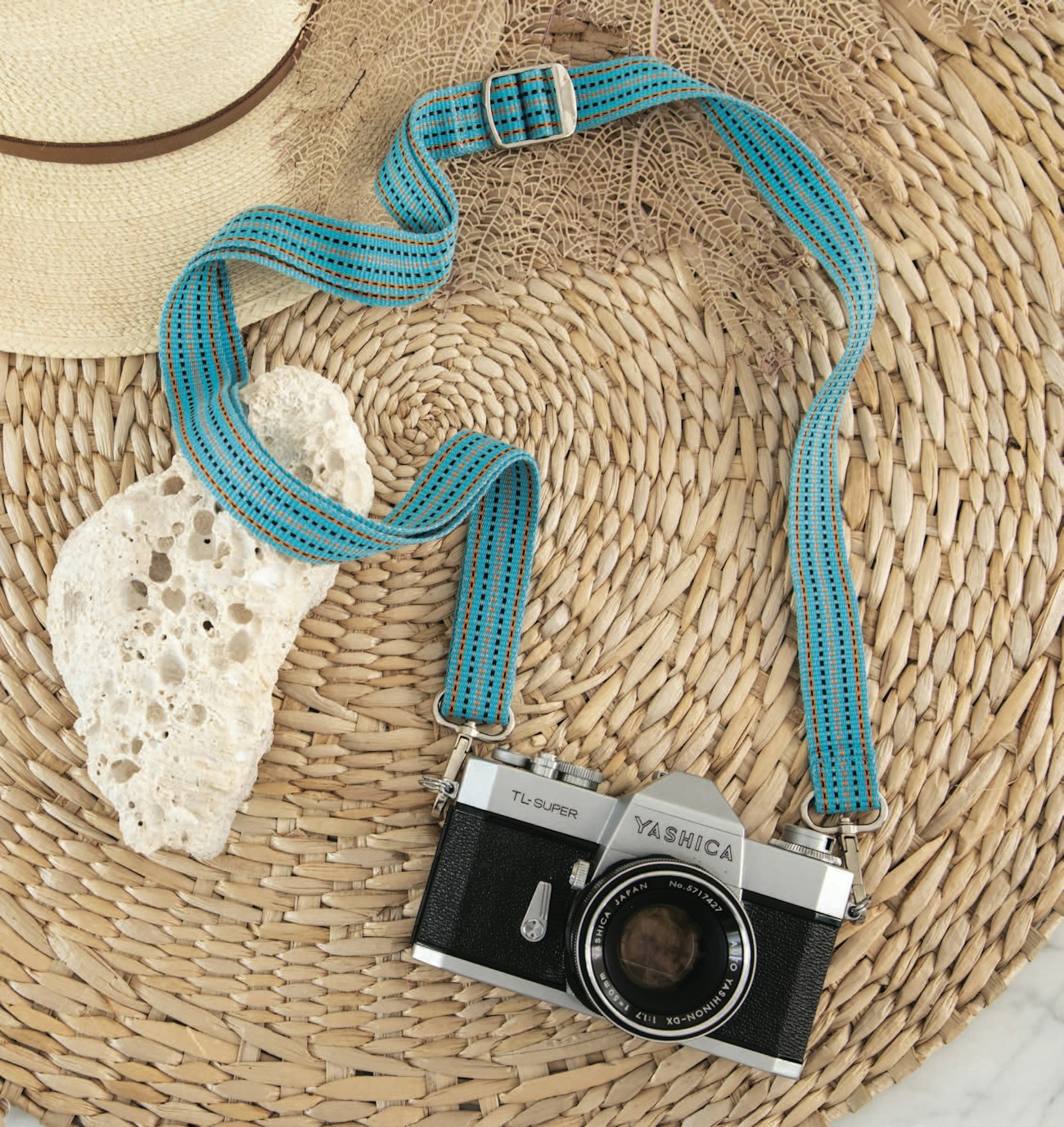 Fiddler on the Beach by Laia Robichaux