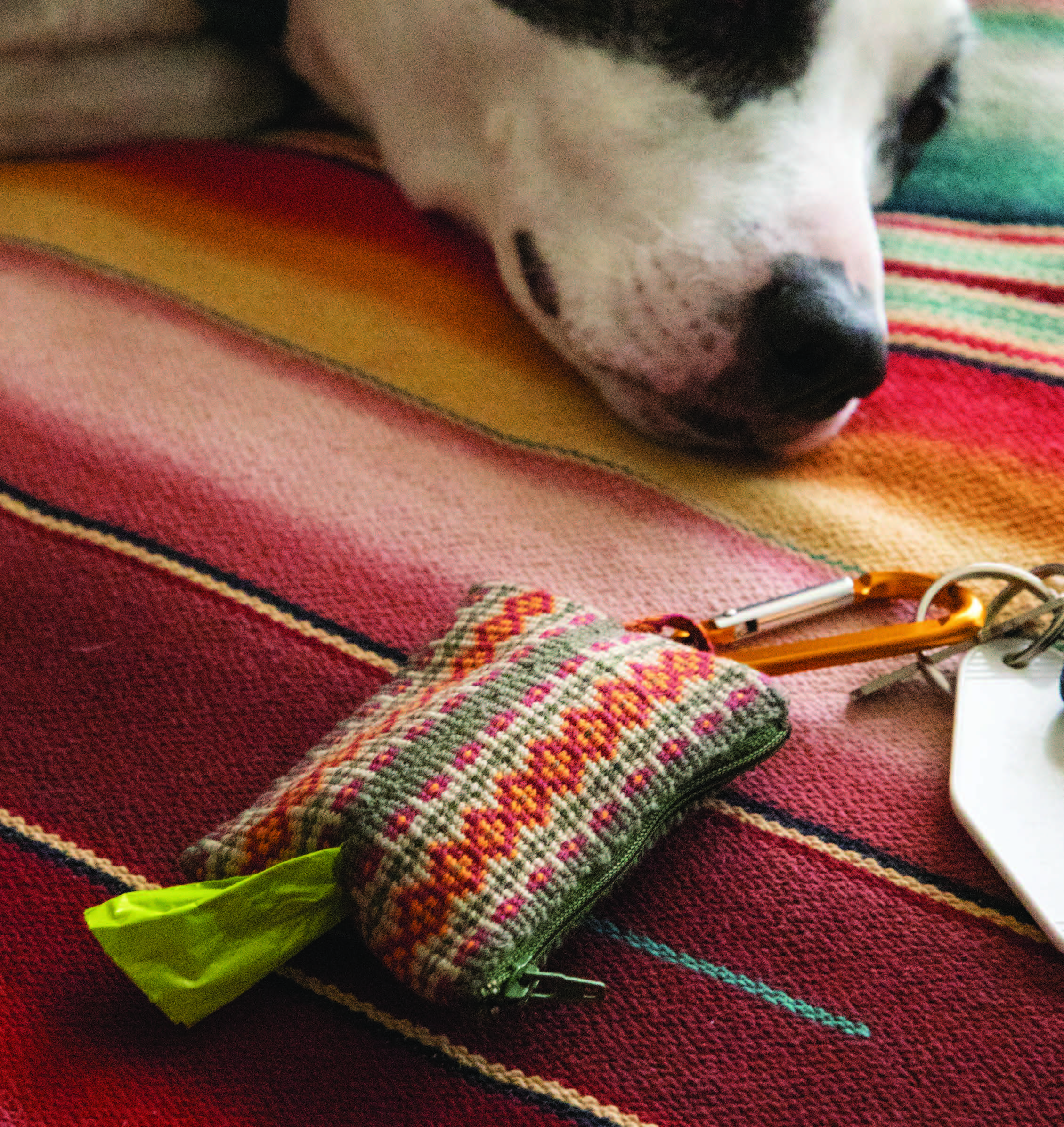 The Dog Walker’s Friend Image