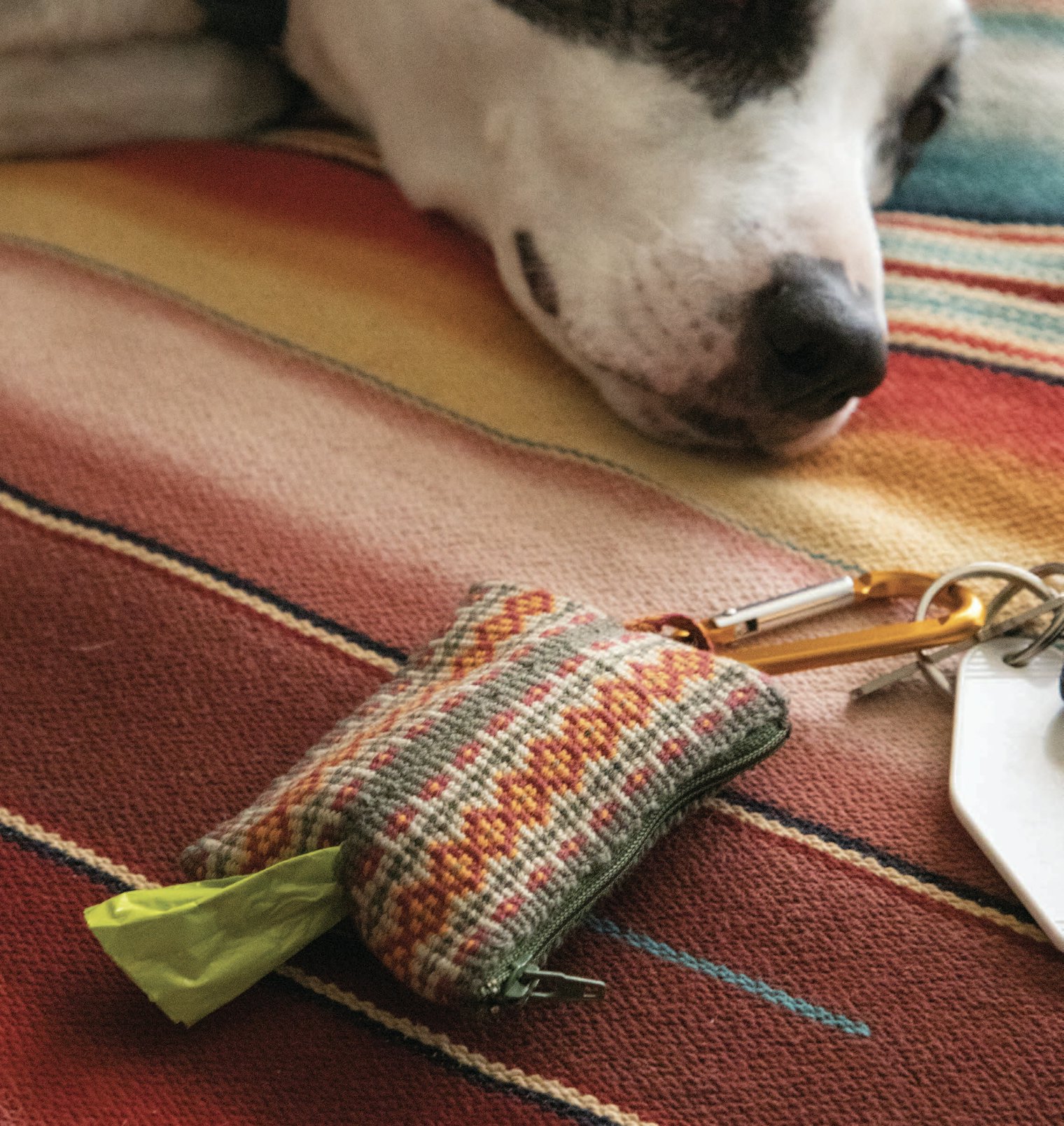 The Dog Walker’s Friend by Joan Sheridan