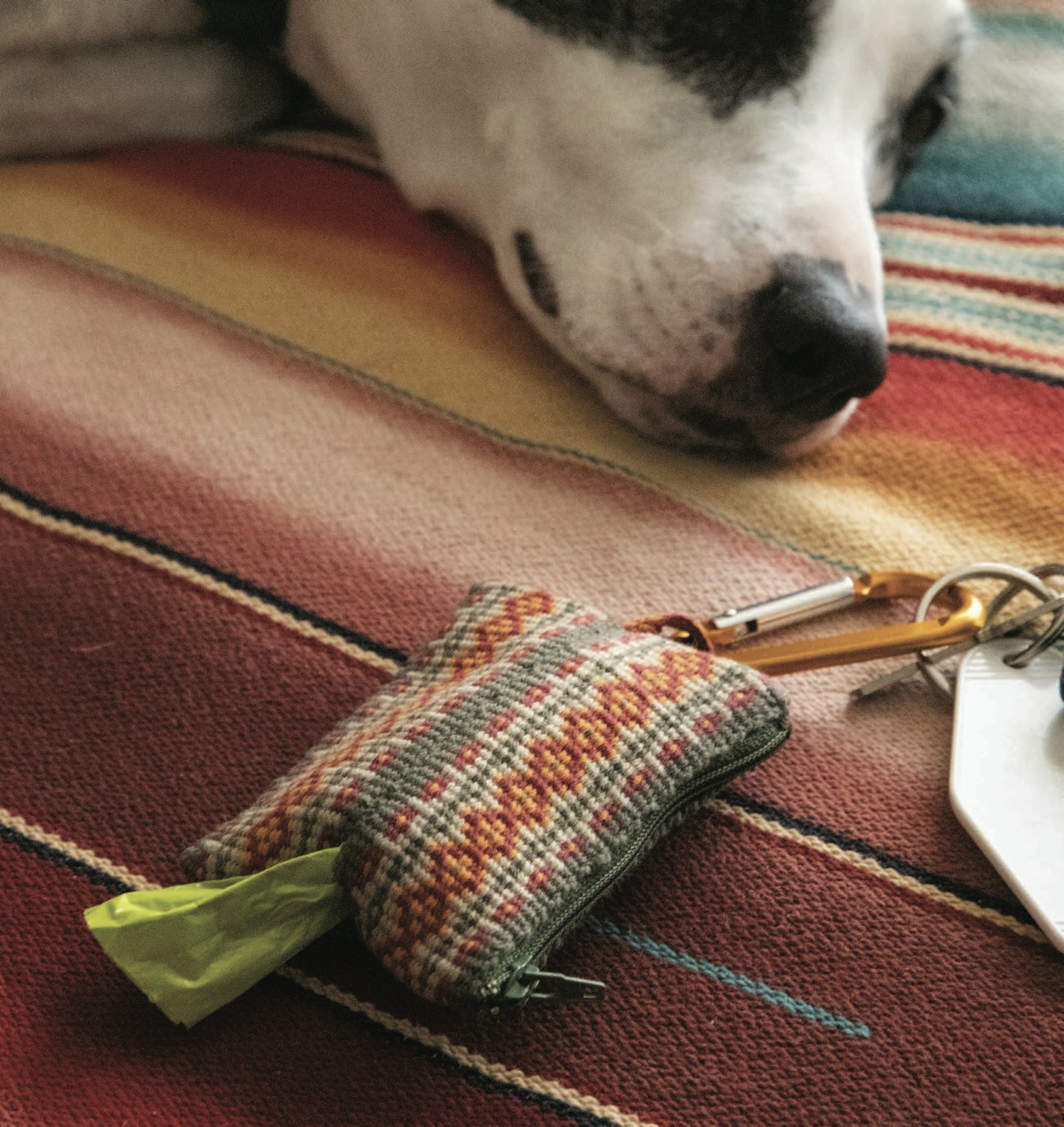 The Dog Walker’s Friend by Joan Sheridan