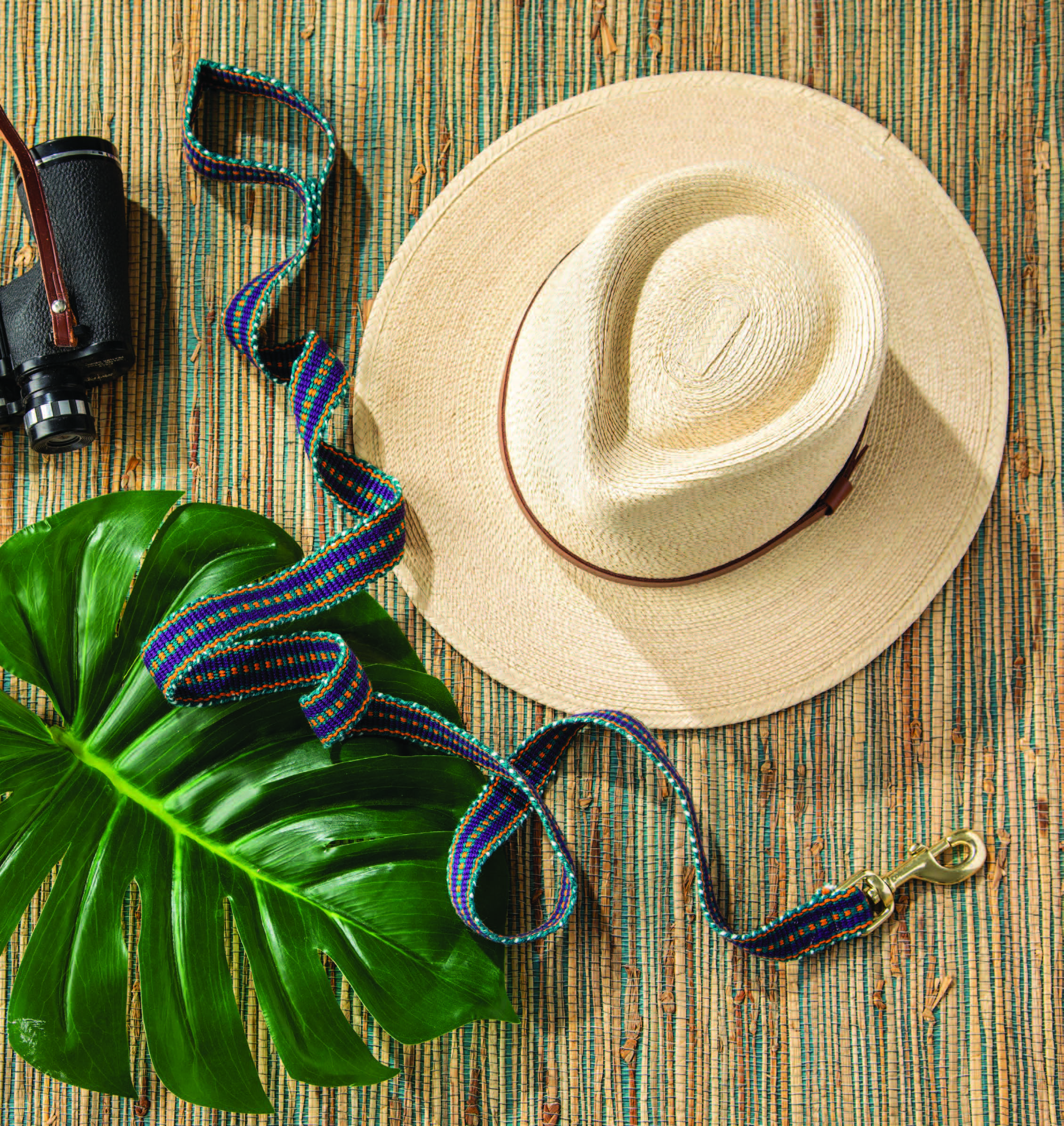 Walk in the Park Leash Image