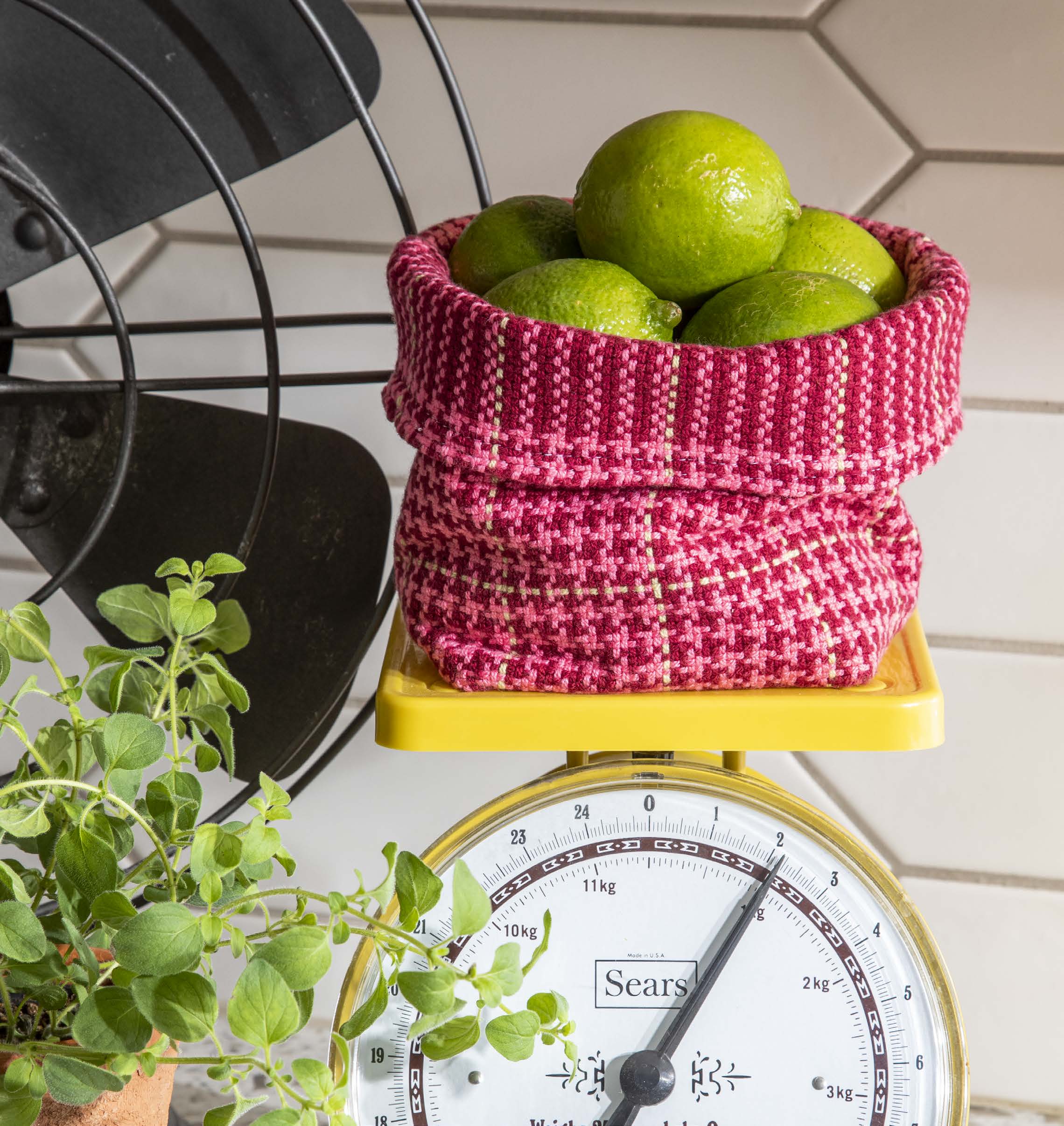 Cherry Berry Basket Image