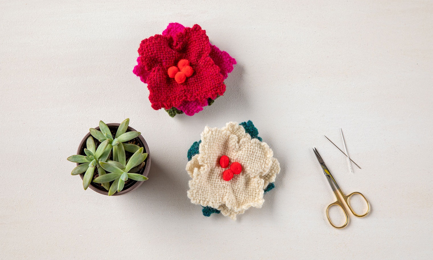 A potted succulent with two pin-loom woven magnolia ornaments, one red and one white.