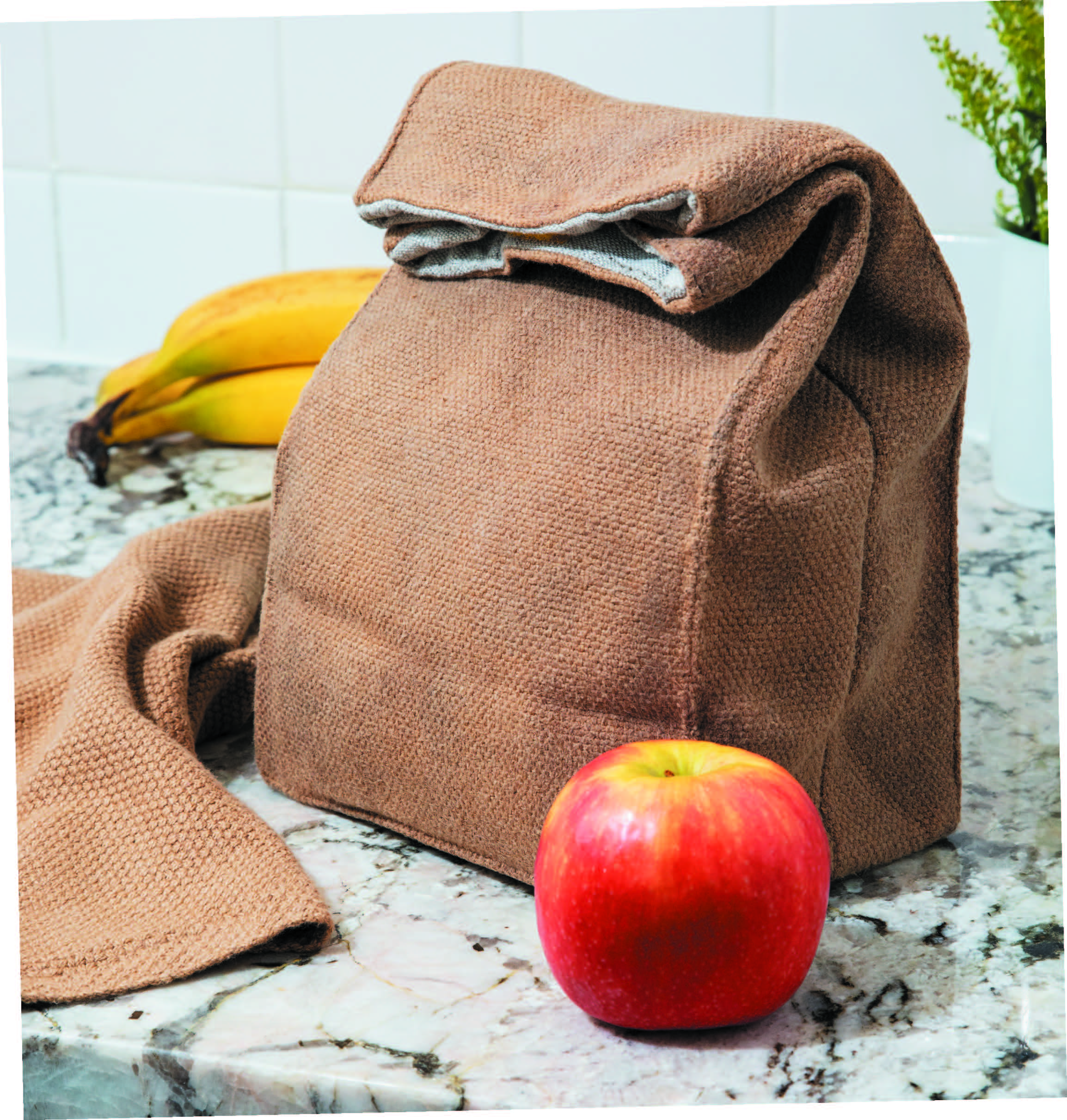 Brown Bag Lunch Set  Image