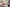 Introducing Summer 2025: Shifting Colors Primary Image