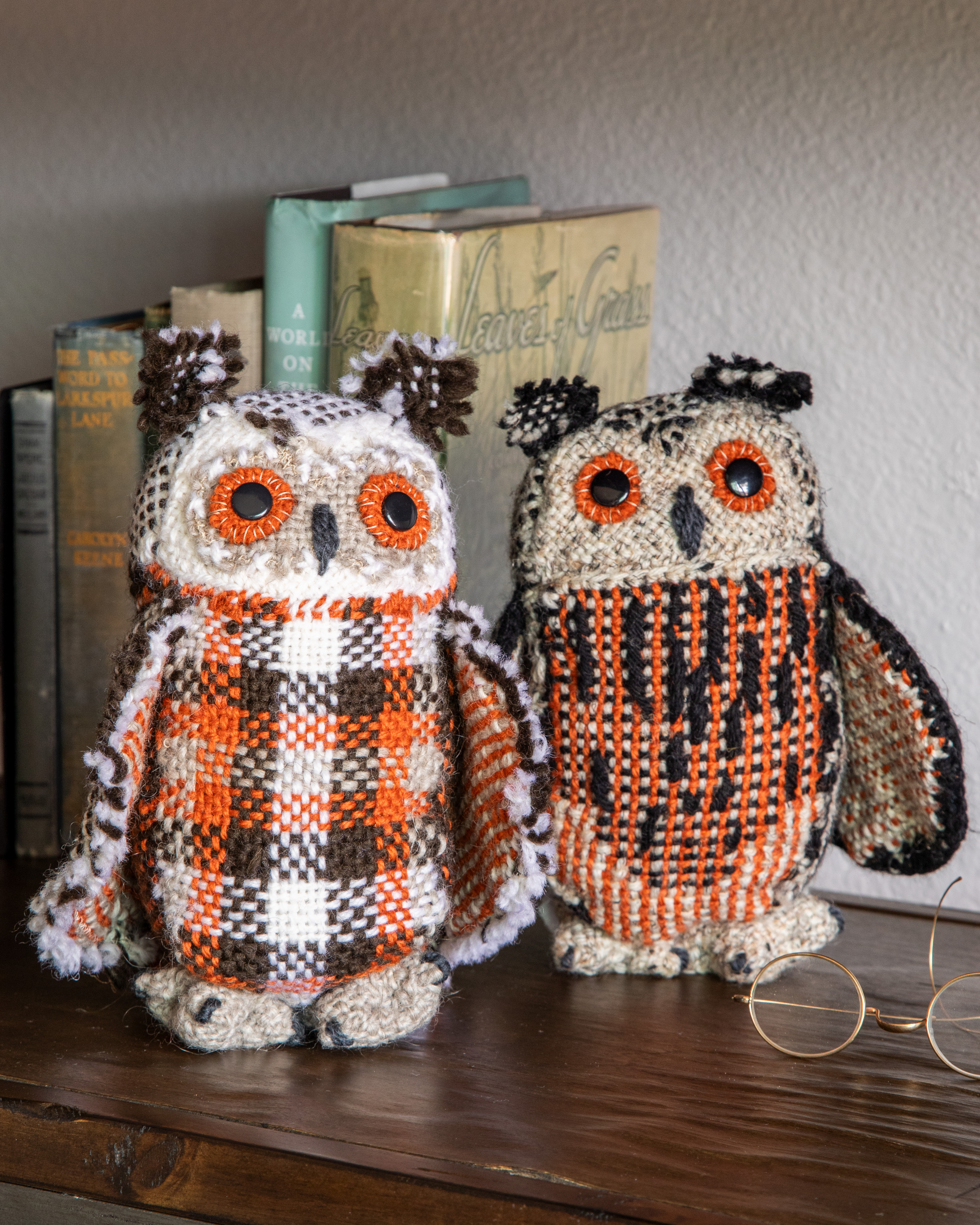 Friends of Flaco Image