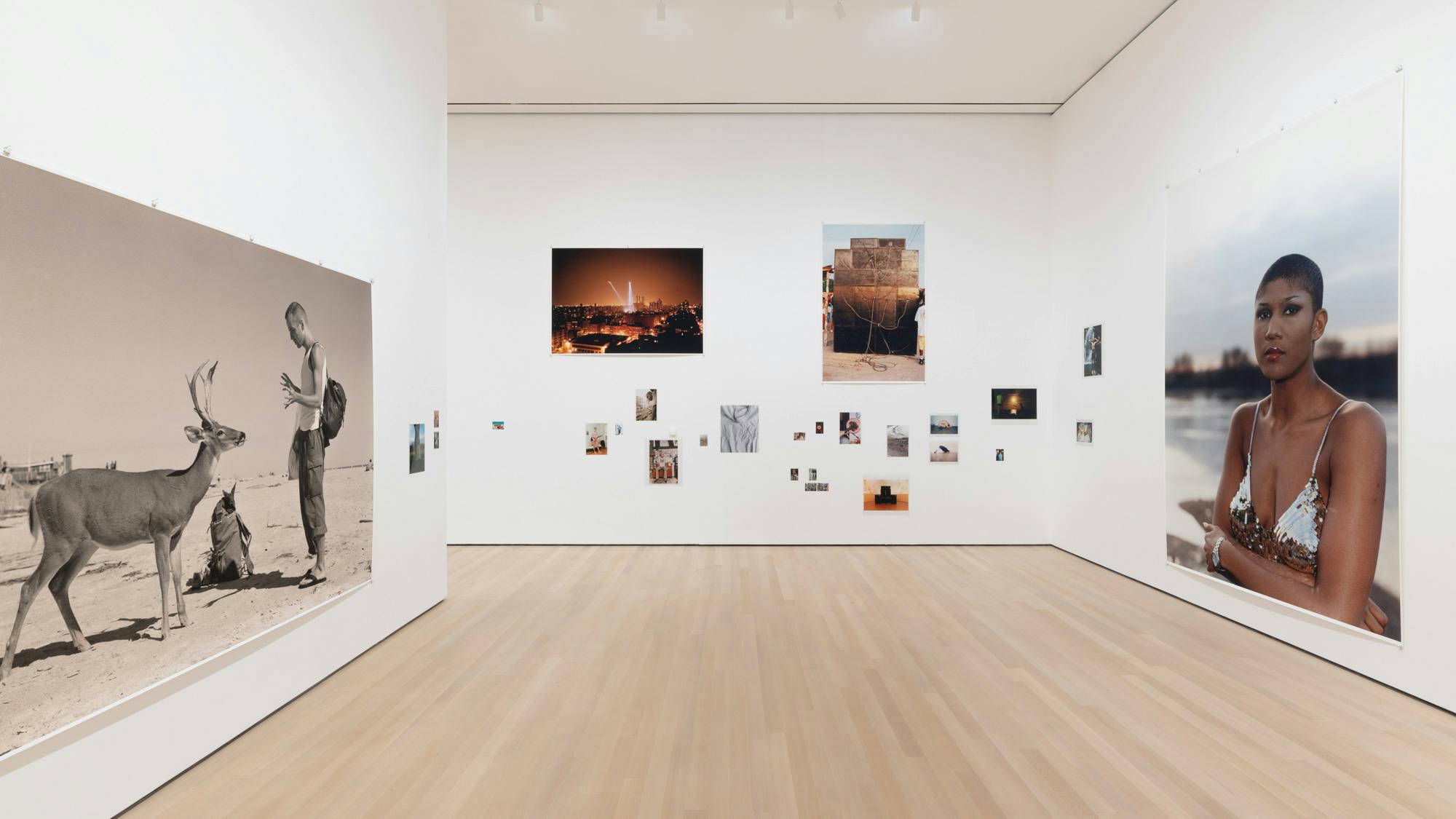 Wolfgang Tillmans MoMA Art Exhibit 2022 — Wolfgang Tillmans Art