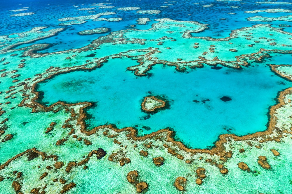The Reeef The Great Barrier Reef, Australia: The world's largest coral reef system