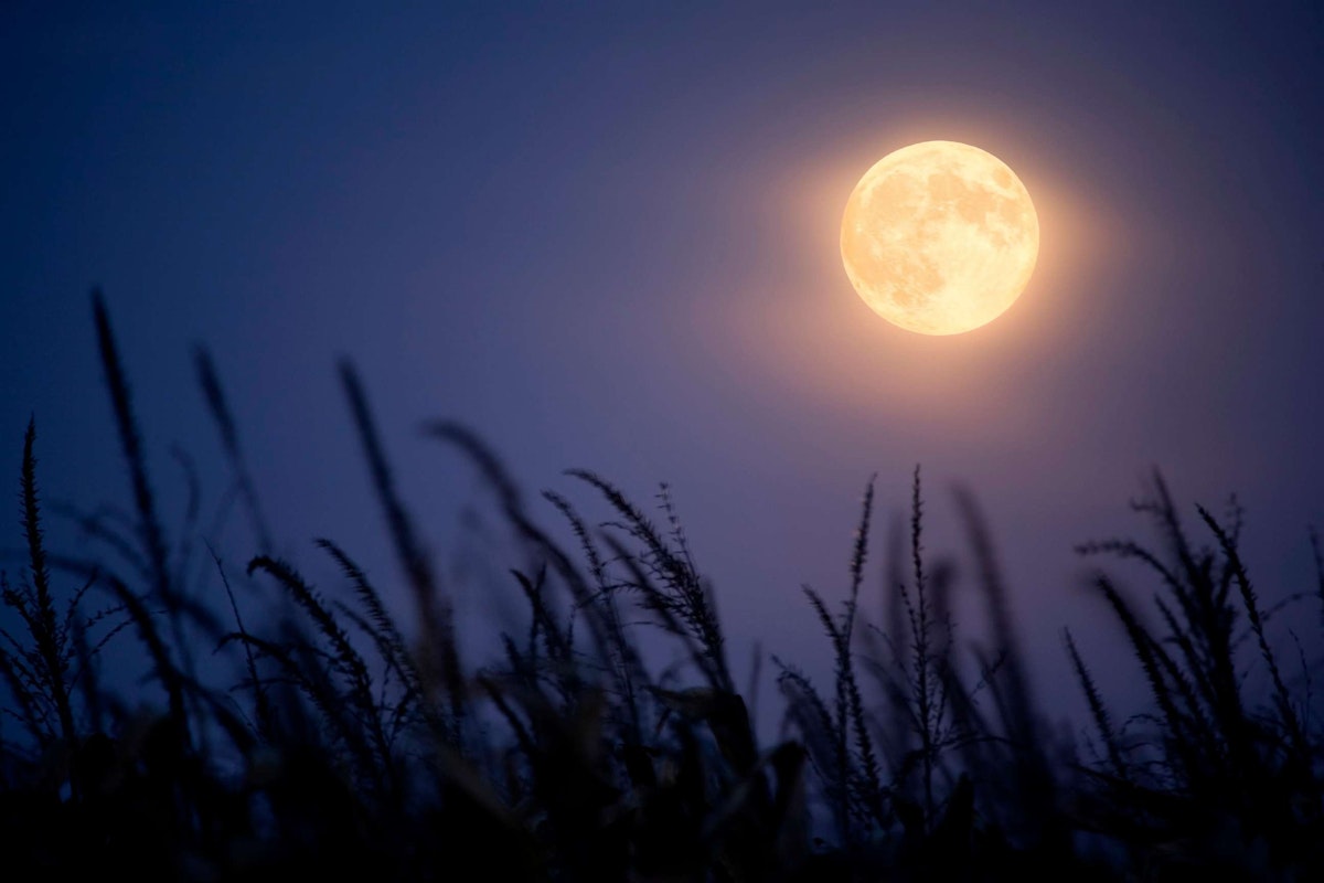 What does the Autumn Harvest full moon bring for the zodiac signs?