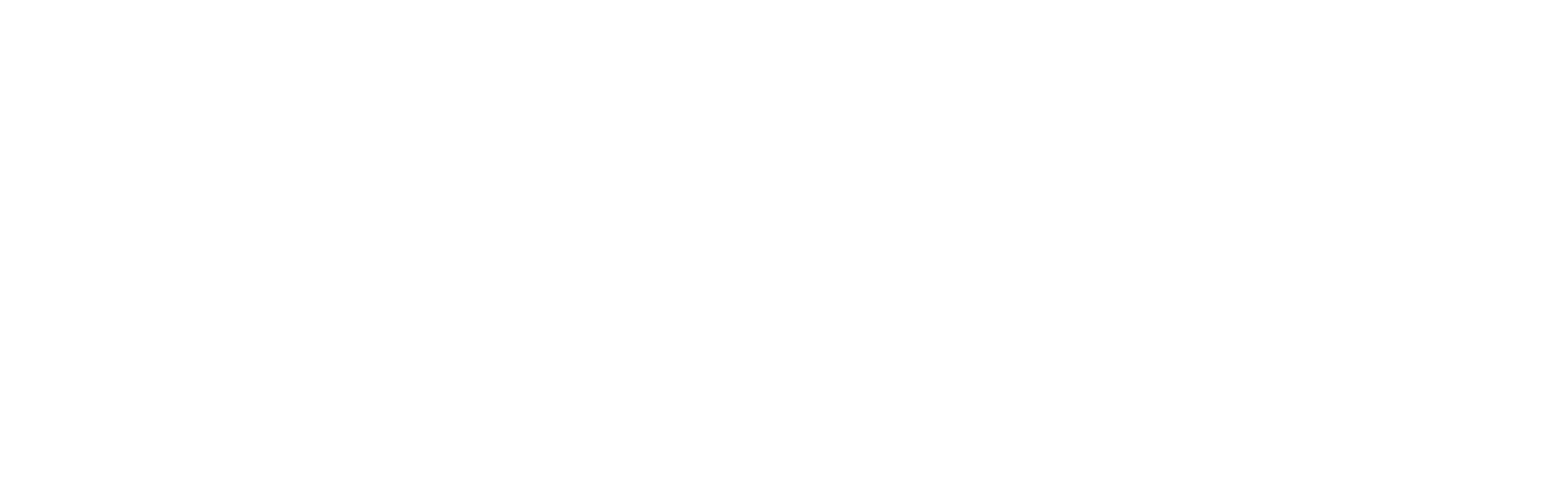 Terna