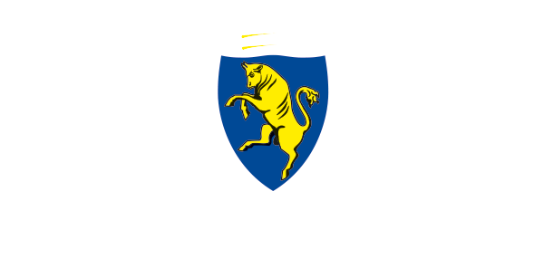 Città di Torino