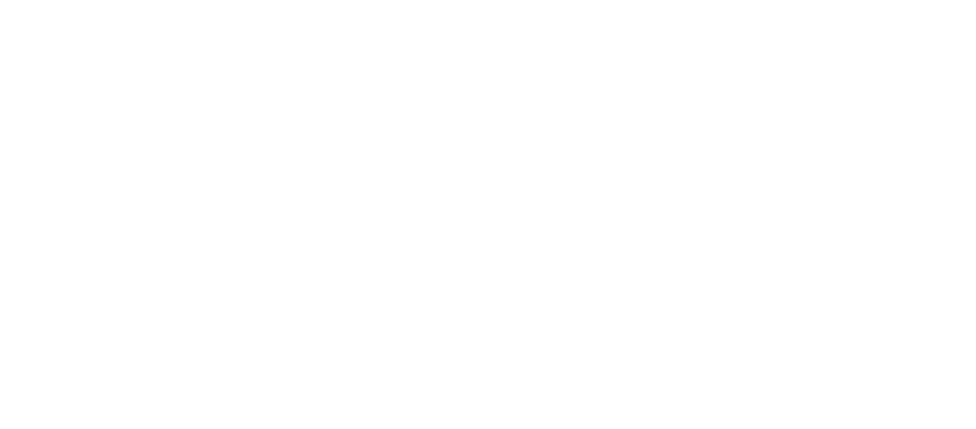 Politecnico di Torino