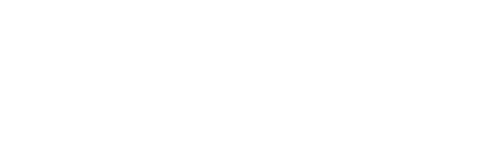 Reset festival