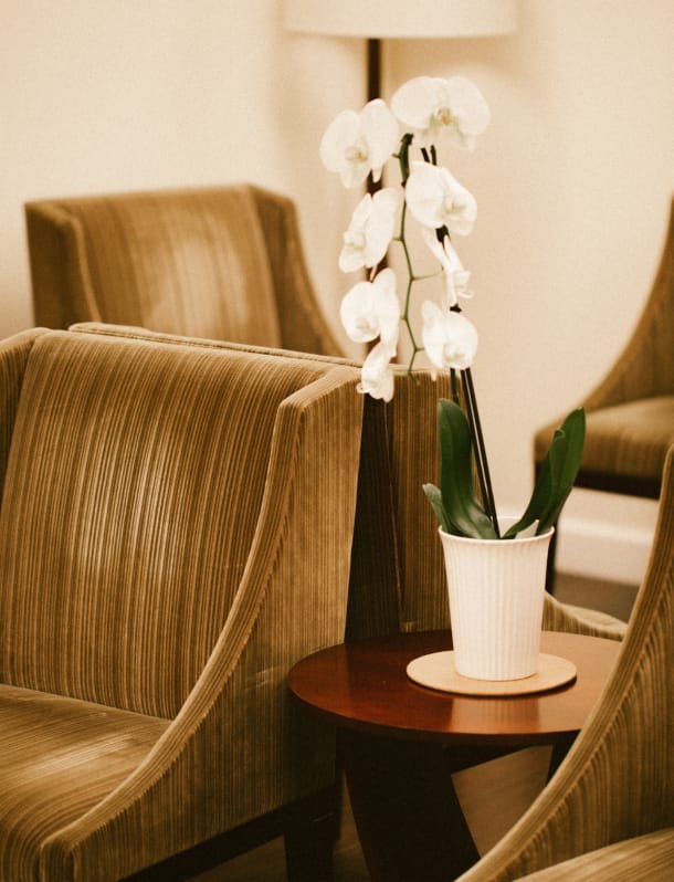 brown chairs with a table and white orchid on it