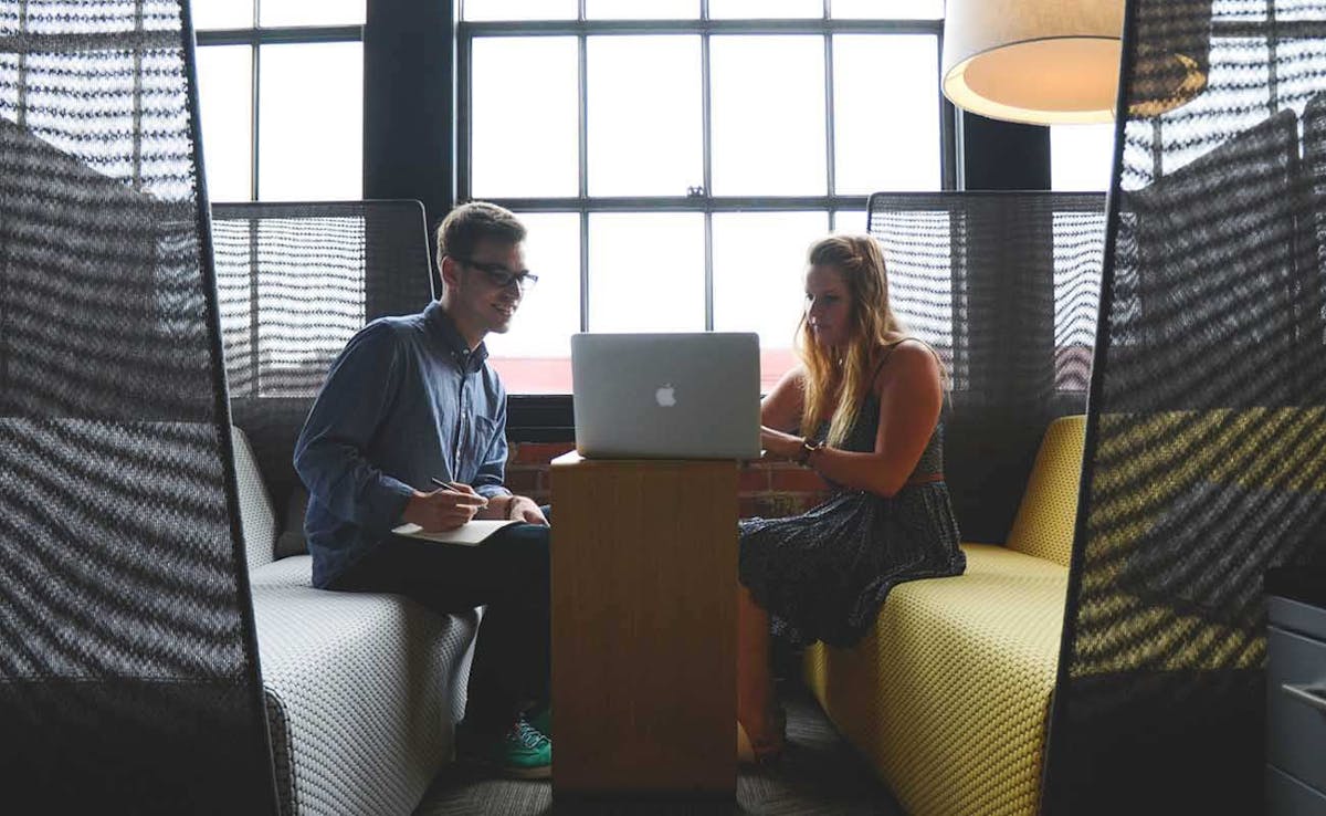 people looking at CV