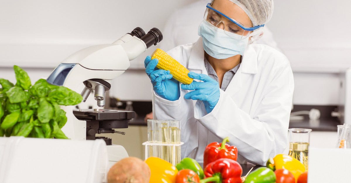 Nutritionist researching various food options