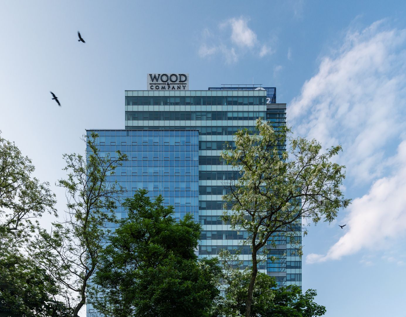 WOOD & Co. prodala správcovskou společnost OPTIMAL PARTNER mezinárodnímu holdingu