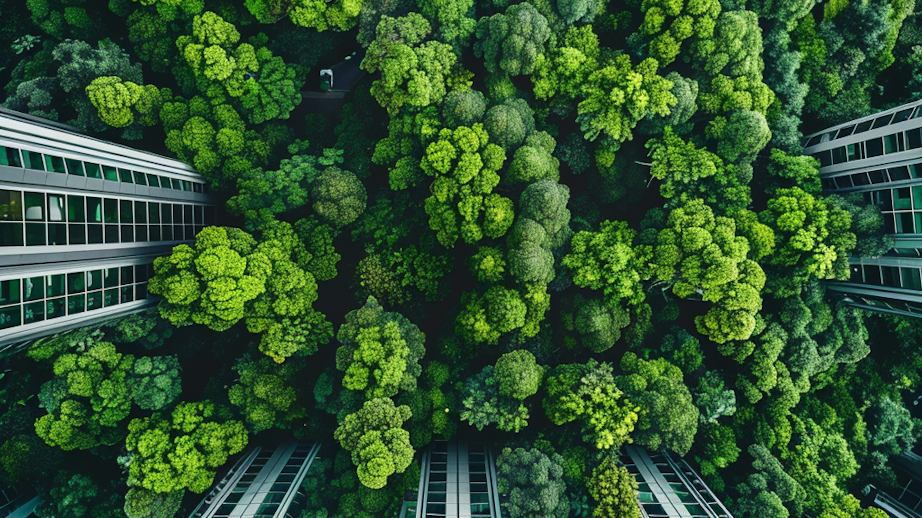 Tři realitní podfondy WOOD & Co. získaly označení Light Green pro investice, které zohledňují udržitelnost