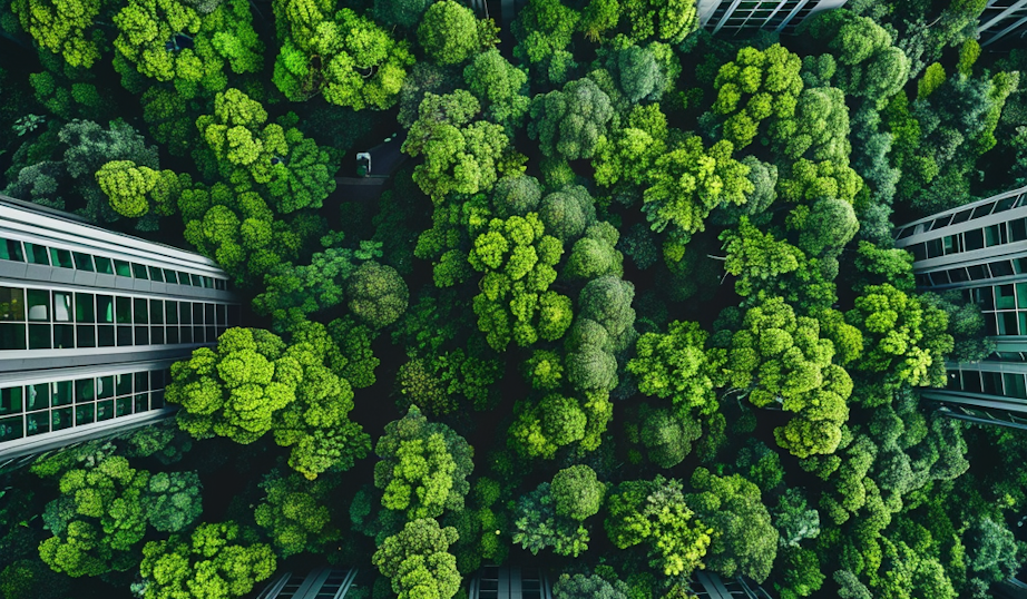 Three WOOD & Co. real estate sub-funds have been awarded the Light Green label for sustainability-friendly investments