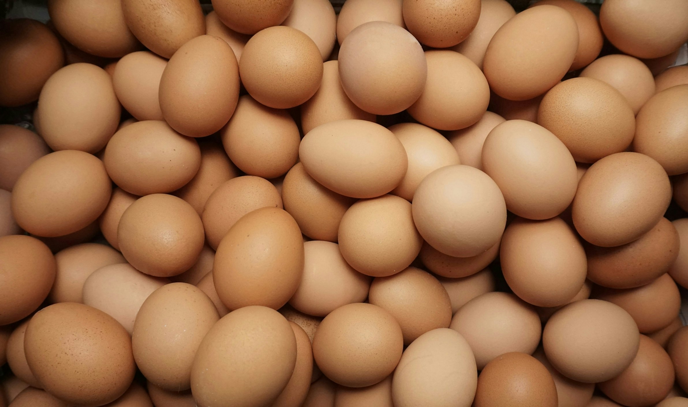 Balticovo completes acquisition of Babičkin dvor, Slovakia’s second-largest egg producer