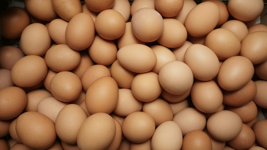 Balticovo completes acquisition of Babičkin dvor, Slovakia’s second-largest egg producer