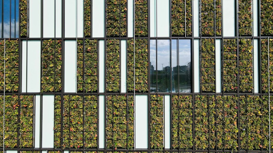 WOOD & Company získala ocenění Leader in Sustainable Investment Banking Emerging Europe 2026