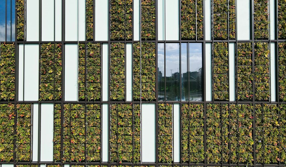 WOOD & Company získala ocenění Leader in Sustainable Investment Banking Emerging Europe 2026