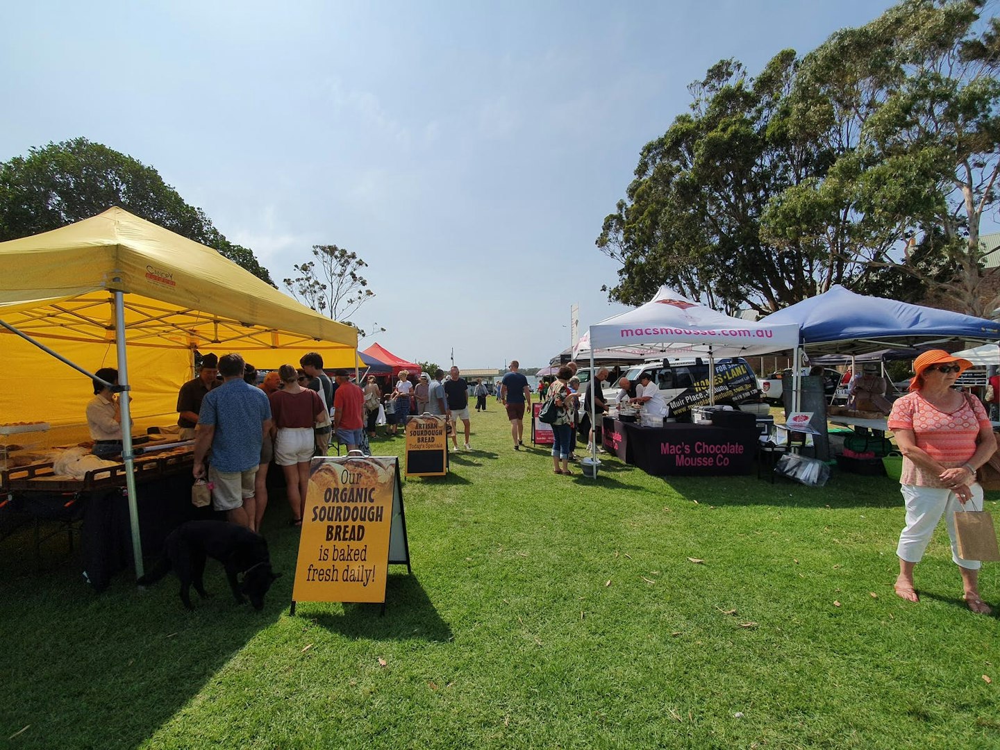 metung farmers market