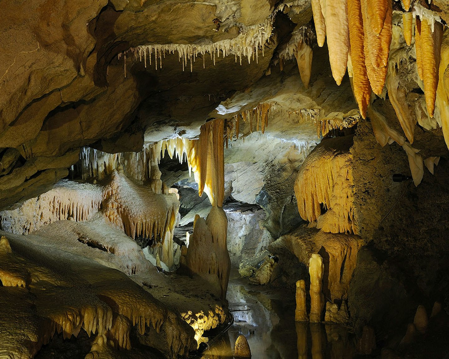 buchan caves tours parks victoria