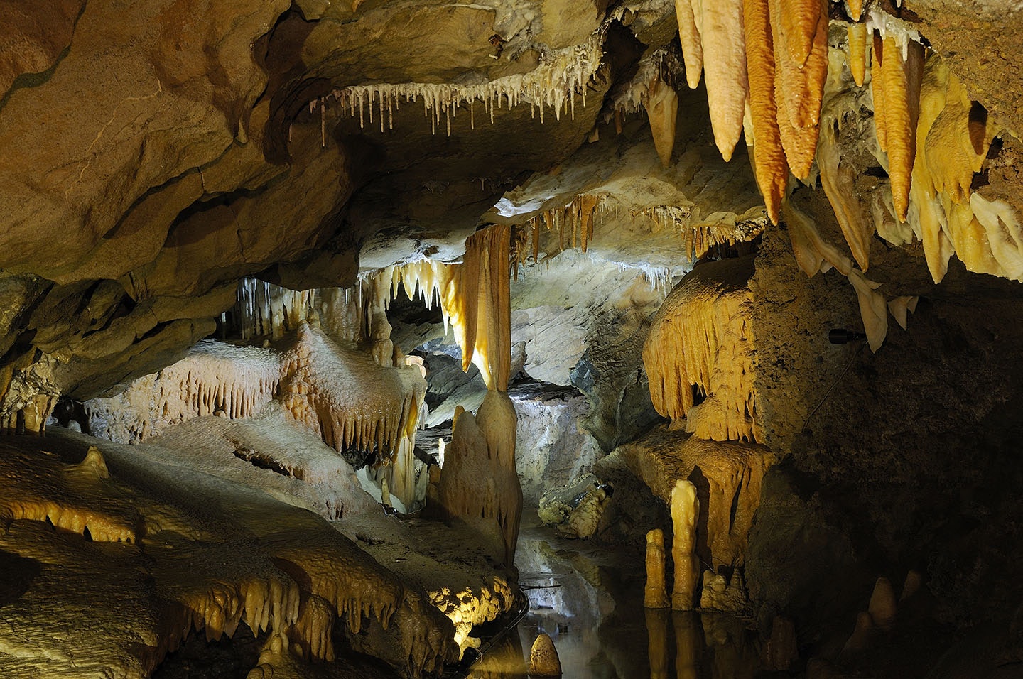 buchan caves tours parks victoria