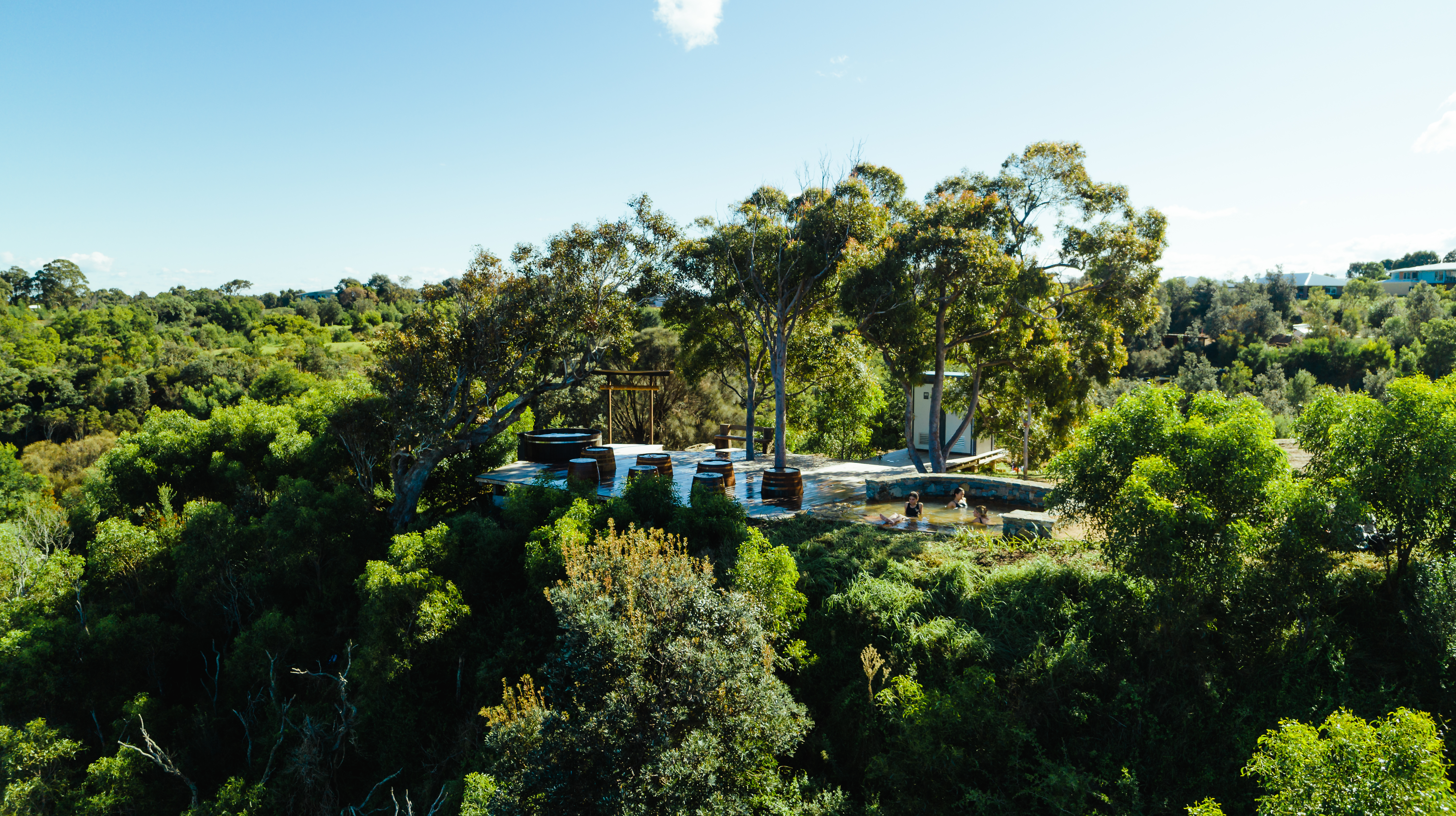 Regeneration at Metung Hot Springs East Gippsland — MHS